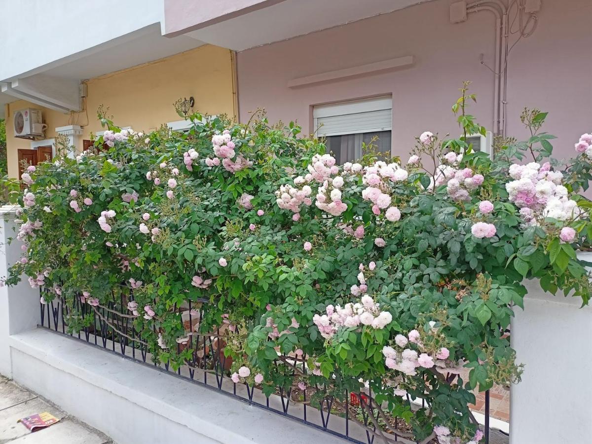 Family House Kos Down Town Appartement Buitenkant foto